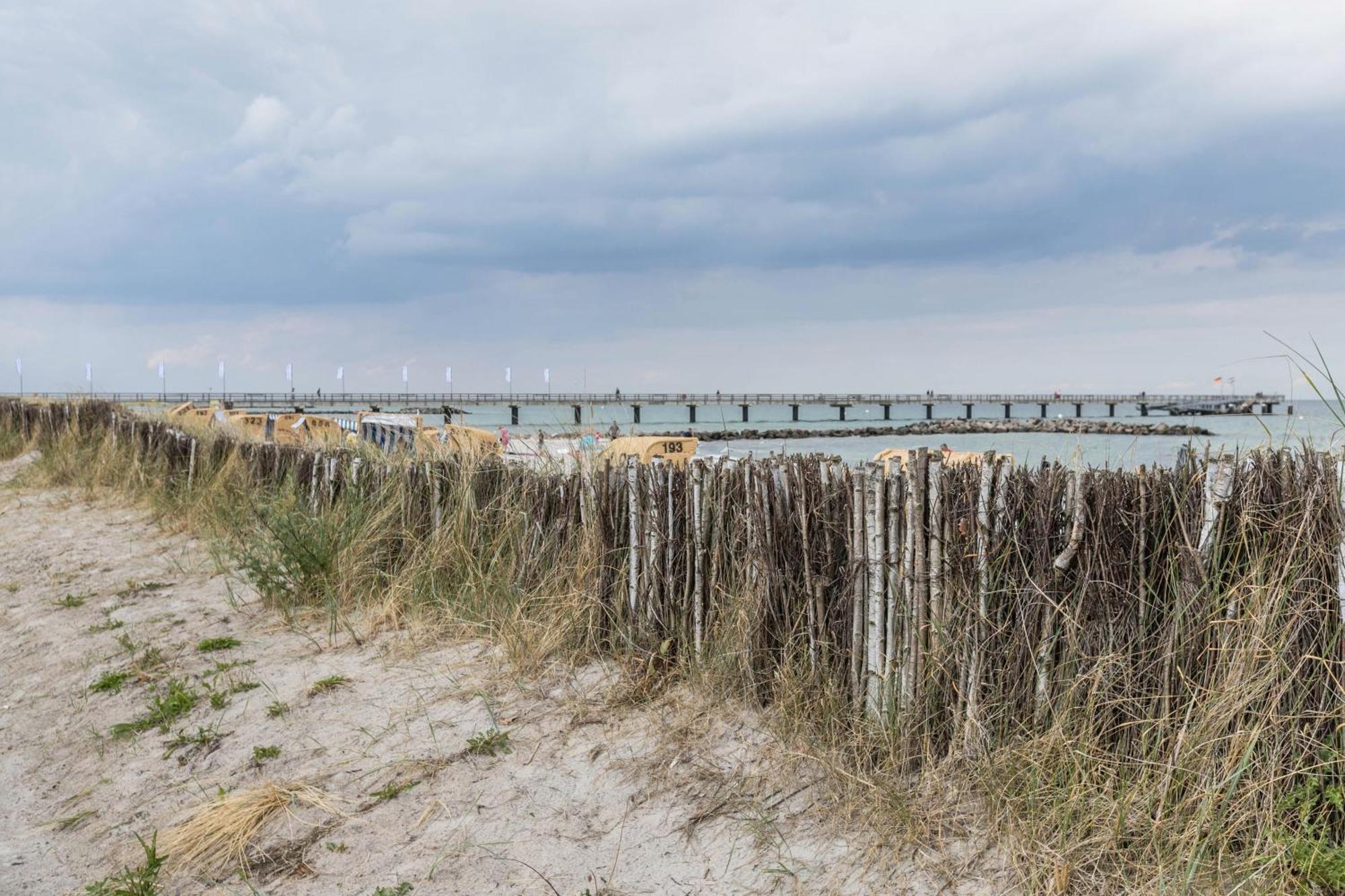Treibholz - Feriendomizil Ostsee Schonberger Strand Kültér fotó
